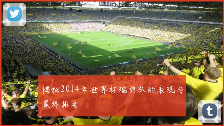 揭秘2014年世界杯瑞典队的表现与最终排名